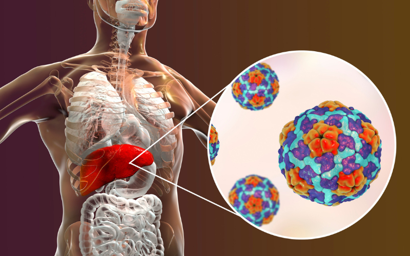 Hepatitis A & B Combination Glenrothes