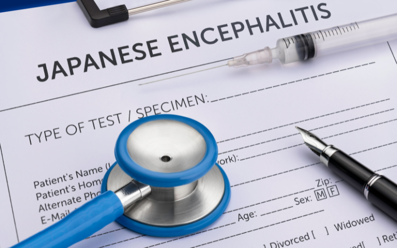 Japanese Encephalitis Glenrothes